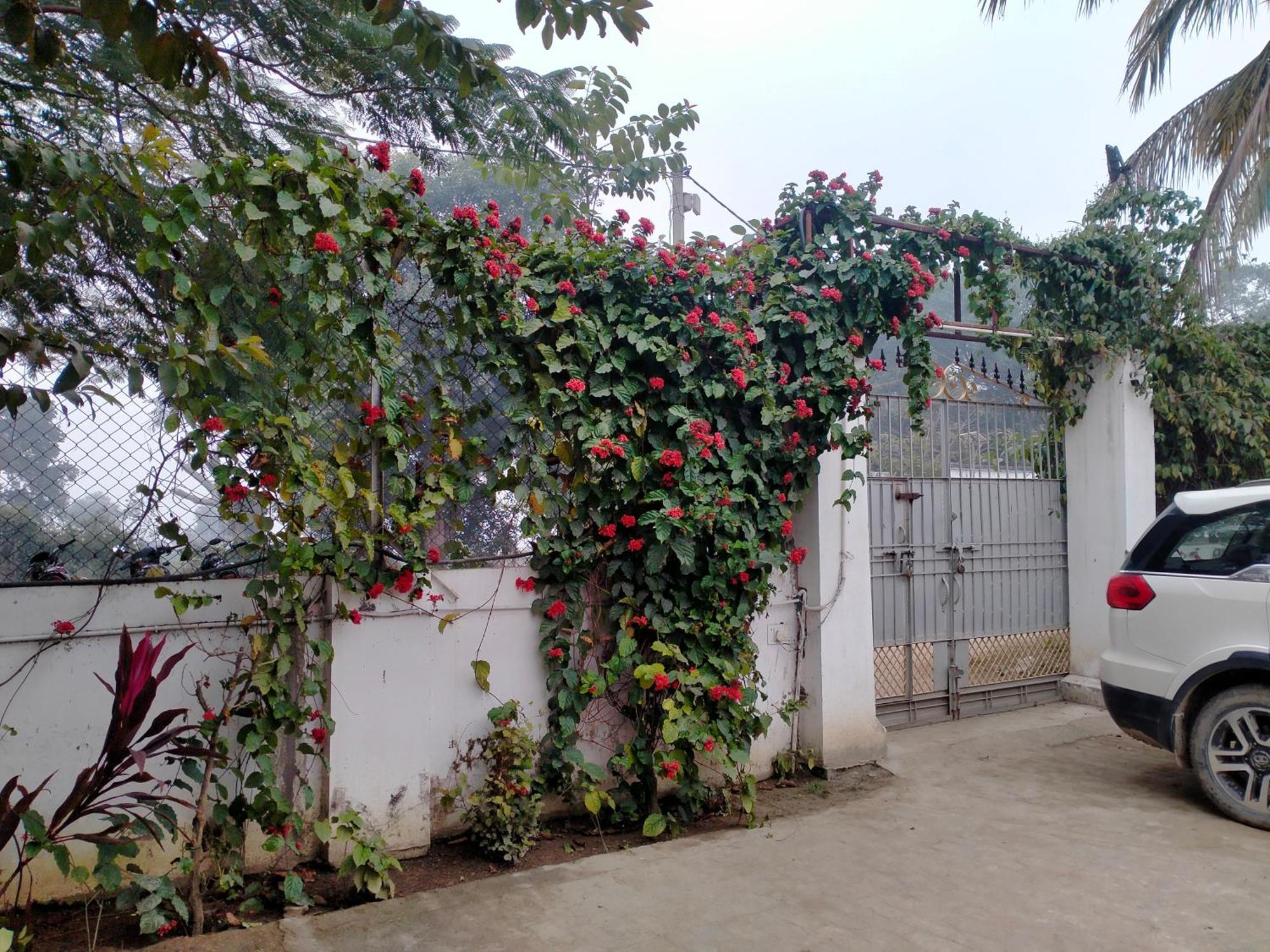 Vedic Villa Варанаси Экстерьер фото